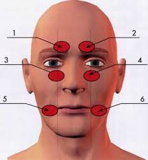 Точки» выхода ветвей тройничного нерва расположены на лице: